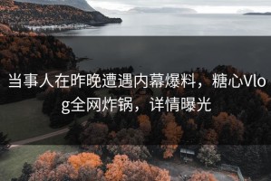当事人在昨晚遭遇内幕爆料，糖心Vlog全网炸锅，详情曝光