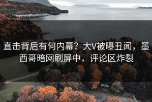 直击背后有何内幕？大V被曝丑闻，墨西哥暗网刷屏中，评论区炸裂
