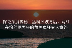 探花深度揭秘：猛料风波背后，网红在粉丝见面会的角色疯狂令人意外