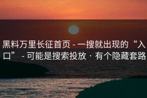 黑料万里长征首页 - 一搜就出现的“入口” - 可能是搜索投放 · 有个隐藏套路