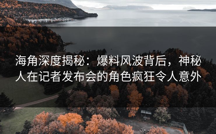 海角深度揭秘：爆料风波背后，神秘人在记者发布会的角色疯狂令人意外
