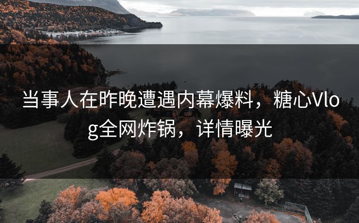 当事人在昨晚遭遇内幕爆料，糖心Vlog全网炸锅，详情曝光