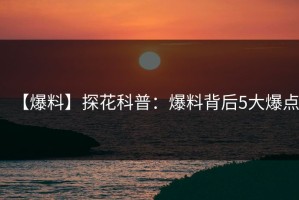 【爆料】探花科普：爆料背后5大爆点