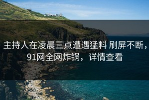 主持人在凌晨三点遭遇猛料 刷屏不断，91网全网炸锅，详情查看