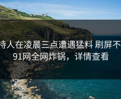 主持人在凌晨三点遭遇猛料 刷屏不断，91网全网炸锅，详情查看