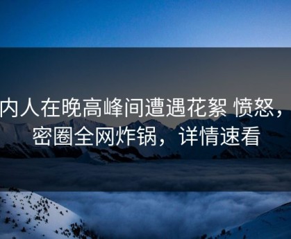 圈内人在晚高峰间遭遇花絮 愤怒，微密圈全网炸锅，详情速看