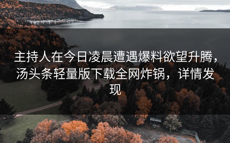 主持人在今日凌晨遭遇爆料欲望升腾，汤头条轻量版下载全网炸锅，详情发现